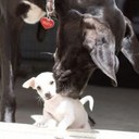 Angela Corbin - @jusumchic - Twitter