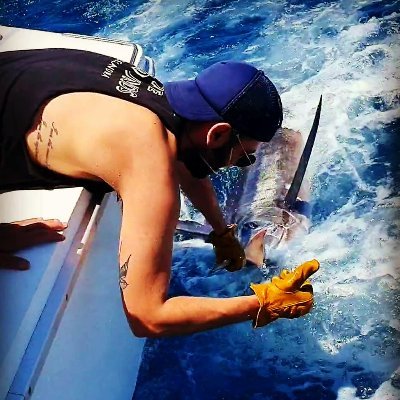 DanLatif01's profile picture. Big Fish 🐟 | Fast Horses 🐎 |
LFC YNWA ⚽️