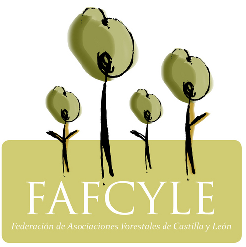 fafcyle Profile Picture
