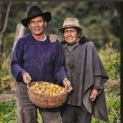 #Agro_Colombiano 🤠🌾👨‍🌾
actividad  #agrícola, #Ganadera y  productiva del #agro  #colombia
🤠🌾👨‍🌾