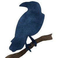 Blu Raven(@BluRavenSec) 's Twitter Profile Photo
