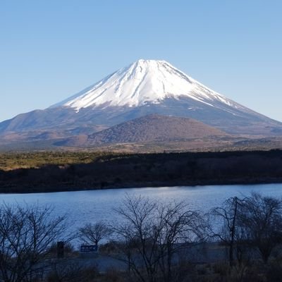 レッドビー等を飼育しています🎵レッドビーを中心にアップしていきます‼️まだ飼育歴2年でやっと増やせるようになりました👍まだまだ、分からないことだらけで何かありましたら、教えて下さい。宜しくお願いします🙇‍♂️⤵️