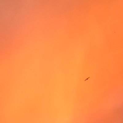 blackendisthend's profile picture. Mühendis