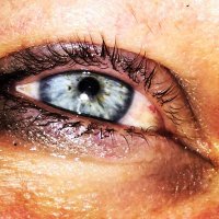 🌸🦋🌸 (@moustikdeformen) 's Twitter Profile Photo 🌸🦋🌸 (@moustikdeformen) 's Twitter Profile Photo