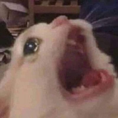 SnapMap13's profile picture. 