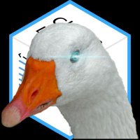 Goose (@chainlinkgoose) Twitter profile photo
