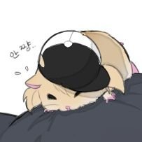 미카🥖🥖さんのプロフィール画像