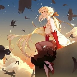 notkiwix's profile picture. One Piece and berserk