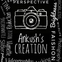 Ankush's Creation(@creation_ankush) 's Twitter Profile Photo