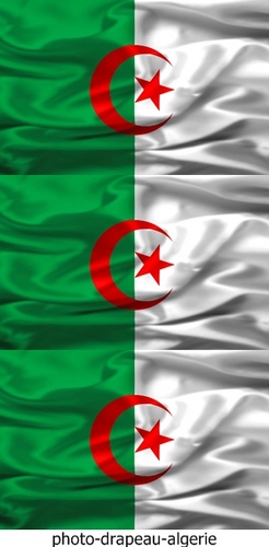 bouazmoh's profile picture. 