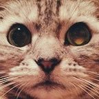 Satyさんのプロフィール画像