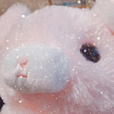 ひまをさんのプロフィール画像