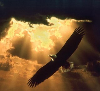 riverrun65's profile picture. we are here a short time only! live every day as though it were your last! Always smile at others! love your family and the special world we all share x