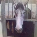 Karyn Porter - @HonestlyEvil - Twitter