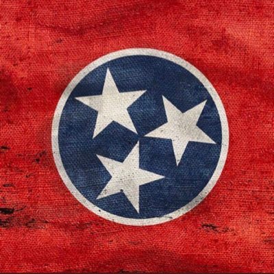 🇺🇸 America First | Tennessean | Common Sense Ain’t Common | Need Something - Work For It