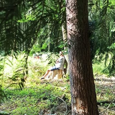 Wolfgang Nitschke (WolfgangNitsch7) Twitter