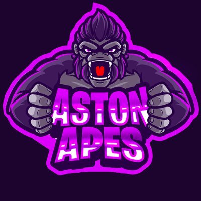 Aston Esports team. 

2x League Of Legends Champs 🏆🏆

For business inquiries please contact astonapes@gmail.com