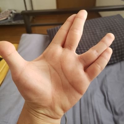 蒼猫さんのプロフィール画像