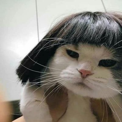 emiliawates's profile picture. 