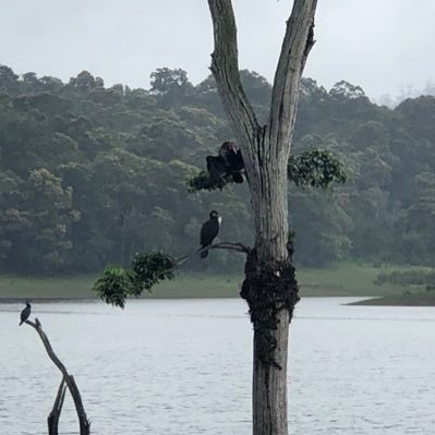 praveenv88's profile picture. 