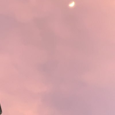 xitapa_wan's profile picture. 