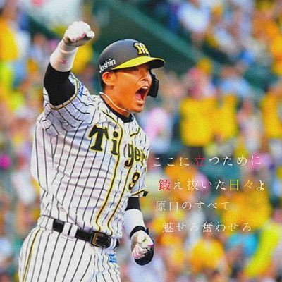 阪神タイガースファン。阪急タイガースは好きじゃないです。