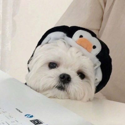 wswsy_'s profile picture. 