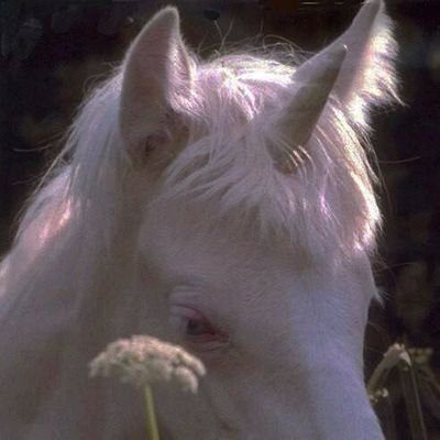 butilookin4luv's profile picture. 管好你自己