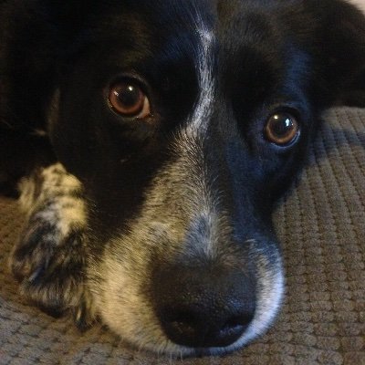 1980bench's profile picture. 