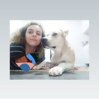 Gül hanım (@ya_gulse) Twitter profile photo