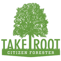 Take Root CHA (@takerootcha) 's Twitter Profile