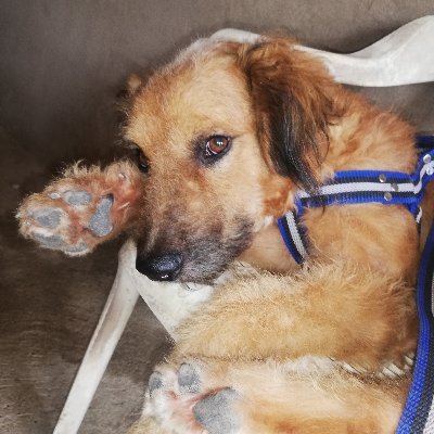 janeth41977366's profile picture. Él espelucao lo mejor 😍😍😍