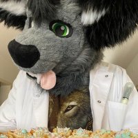 Lufu_the_Medicfur (@lufu_medicfur) Twitter profile photo