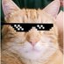 Milo Elgato (@puntercat) Twitter profile photo Milo Elgato (@puntercat) Twitter profile photo