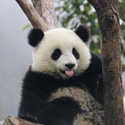 granger0_0's profile picture. A human being.