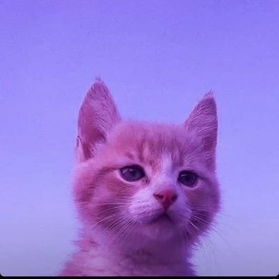 sogandroshn's profile picture. 