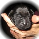 Michael Kloster - @Michael_Kloster - Twitter