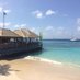 mayreau 🤟🏻 (@lubacgenevieve) Twitter profile photo mayreau 🤟🏻 (@lubacgenevieve) Twitter profile photo