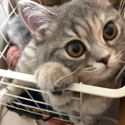 yayayelly's profile picture. 