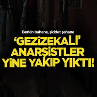 Yanlışlıkla Anarşist (@yanlis_anarsist) Twitter profile photo
