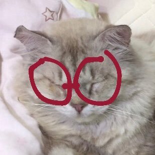 grassさんのプロフィール画像