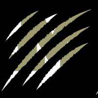McKinley Tigers Athletics (@tiger_athletics) 's Twitter Profile Photo McKinley Tigers Athletics (@tiger_athletics) 's Twitter Profile Photo