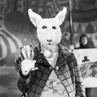 TheAlternativeRabbit (@alternaterabbit) 's Twitter Profile