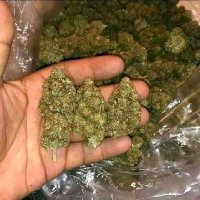 escobarjunior (@escobarjunior15) 's Twitter Profile