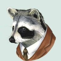 Rakun Faruk (@rakunnfarukk) 's Twitter Profile