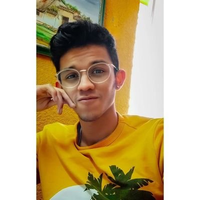 Ingeniero Civil