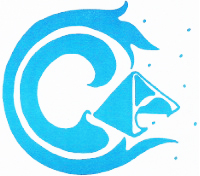 The Collective