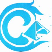 The Collective (@cachouston) 's Twitter Profile