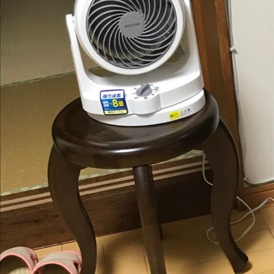 oshirisuki0526's profile picture. 夢は世界に羽ばたくこと。