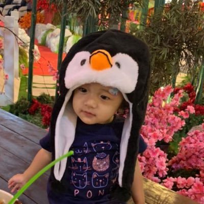 AhTeh_IV's profile picture. Don't follow your dreams, follow my twitter.